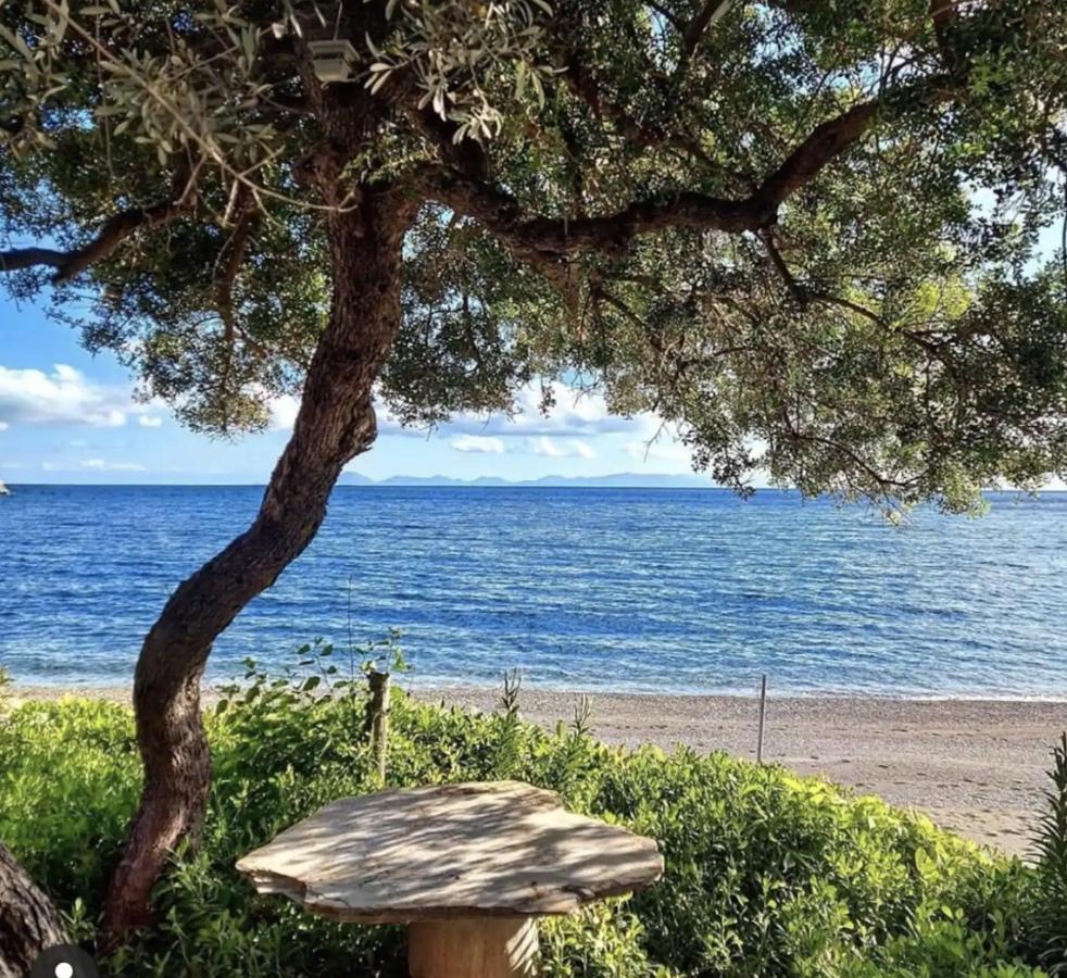 Dadya Villa 1 - Villa With Private Pool - 750M Distance To The Beach Datça Exterior foto